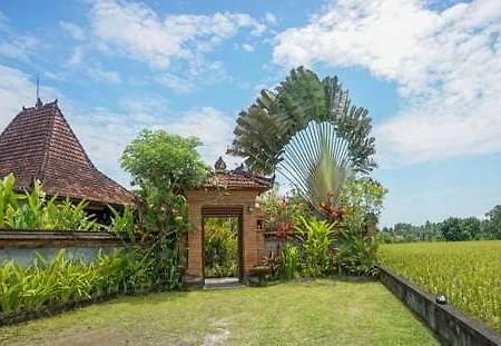 Rumah Sungai Villa 우붓 외부 사진