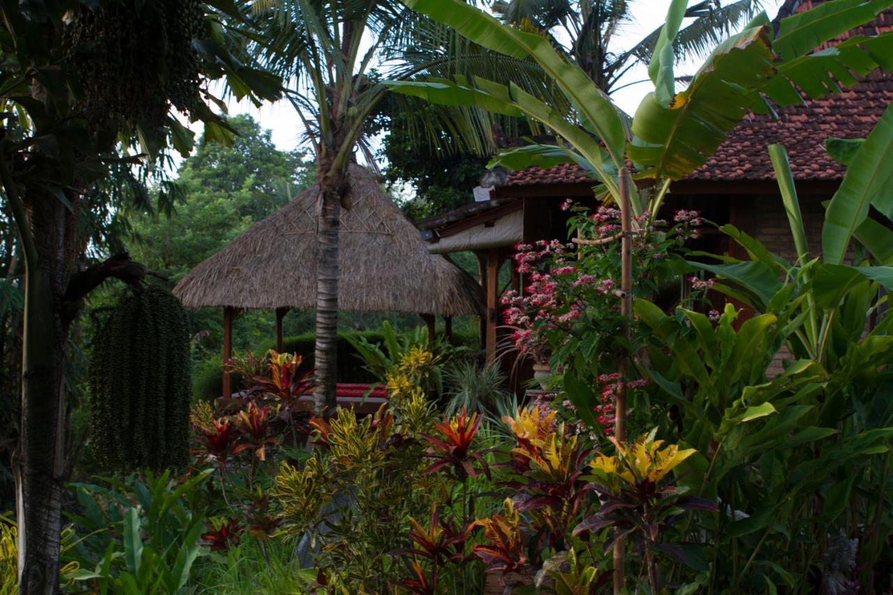 Rumah Sungai Villa 우붓 외부 사진