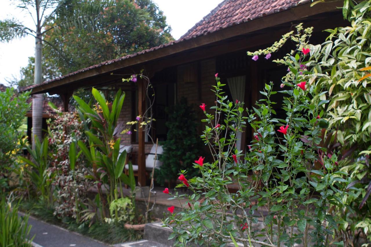Rumah Sungai Villa 우붓 외부 사진