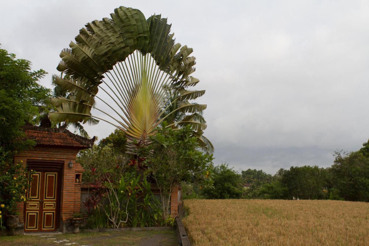 Rumah Sungai Villa 우붓 외부 사진