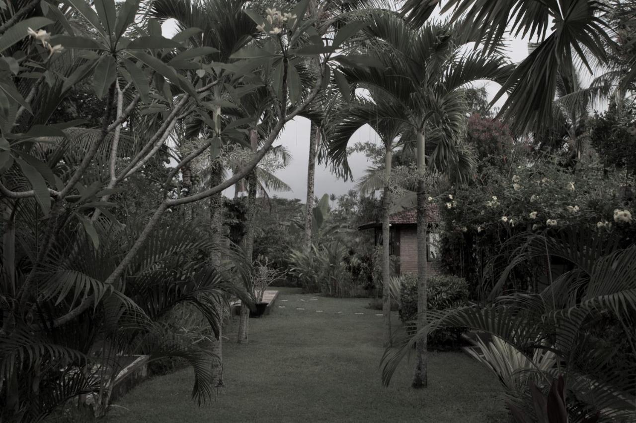 Rumah Sungai Villa 우붓 외부 사진