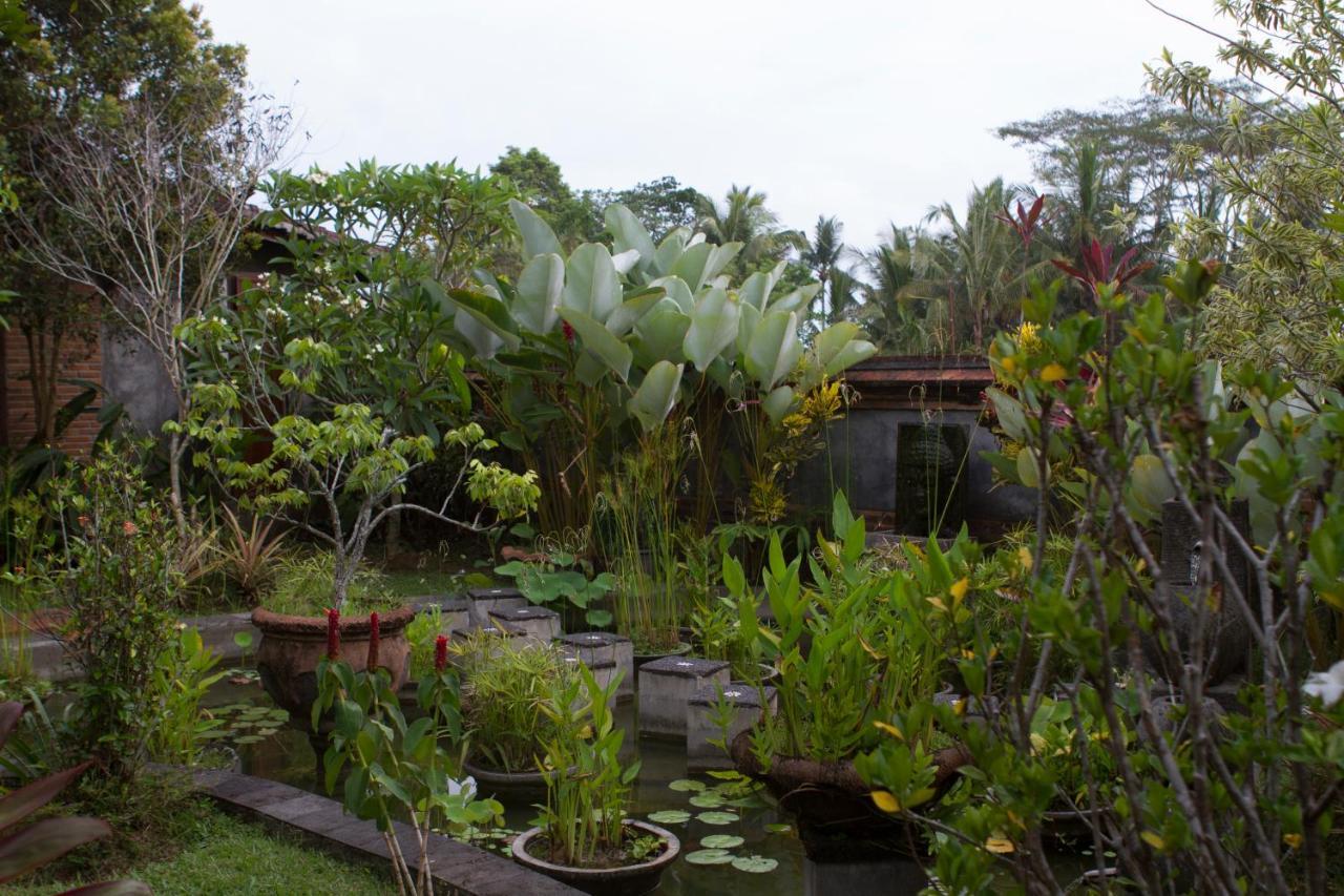 Rumah Sungai Villa 우붓 외부 사진