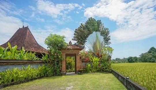 Rumah Sungai Villa 우붓 외부 사진