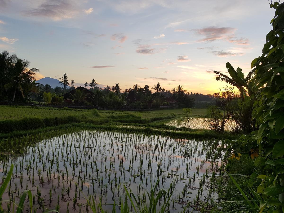 Rumah Sungai Villa 우붓 외부 사진
