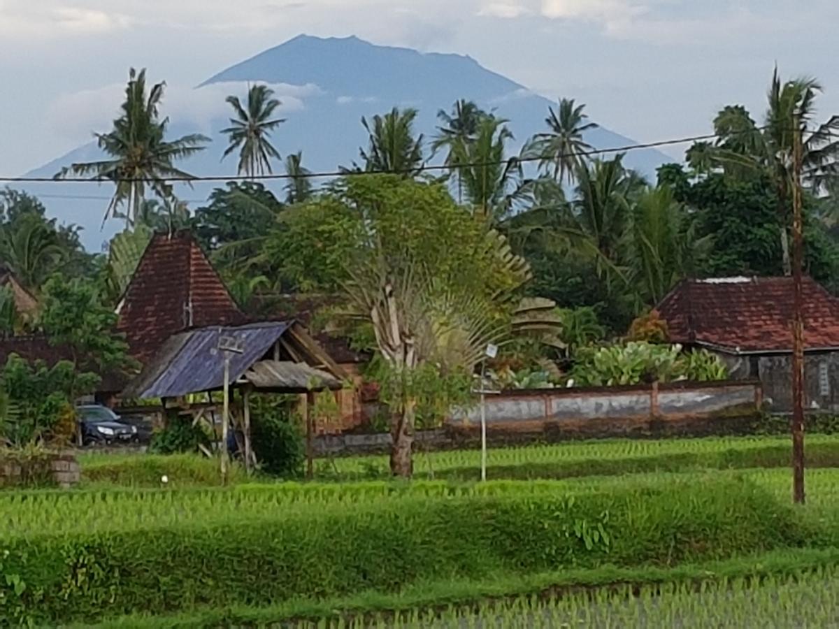 Rumah Sungai Villa 우붓 외부 사진