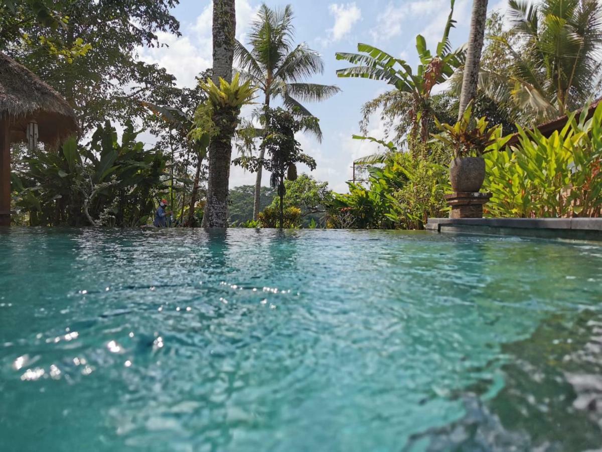 Rumah Sungai Villa 우붓 외부 사진