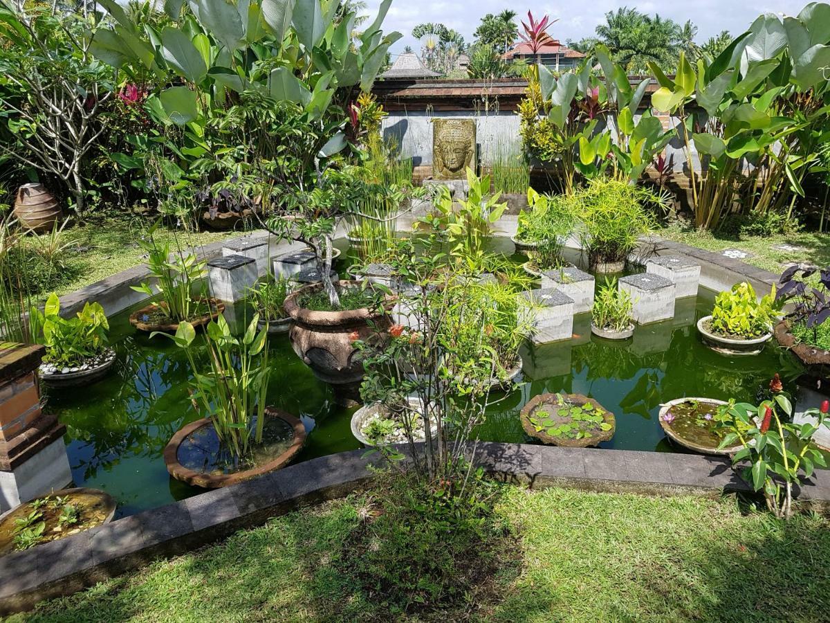 Rumah Sungai Villa 우붓 외부 사진