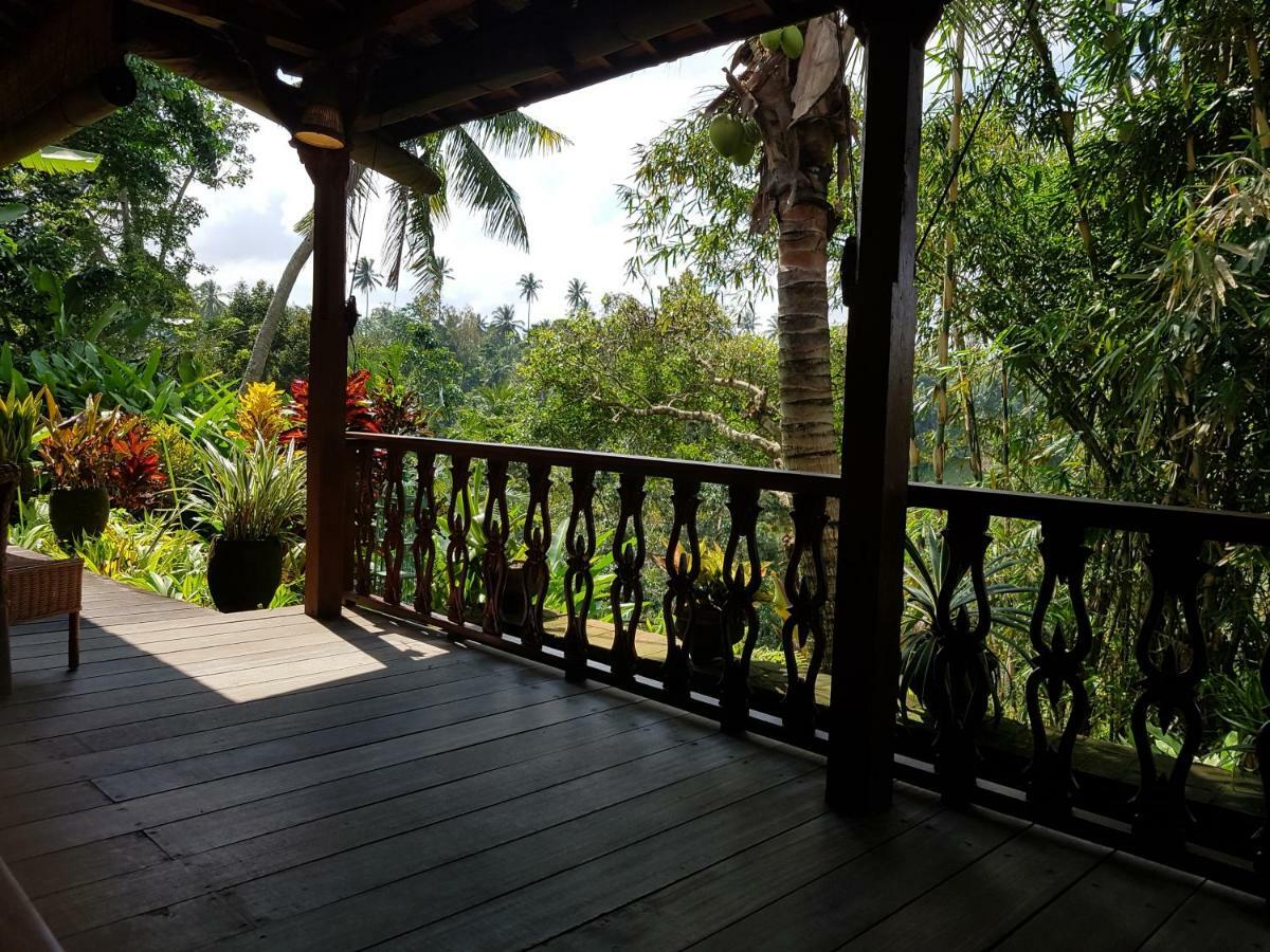 Rumah Sungai Villa 우붓 외부 사진